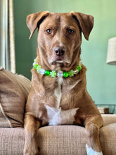 Load image into Gallery viewer, 🟧 21&quot; Slip On (Rose Gold O-Ring) Shamrock Acrylic Bead Collar - PRE-MADE/FINAL SALE