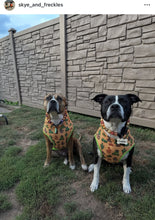 Load image into Gallery viewer, Velvet Autumn Bead Collar