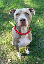 Load image into Gallery viewer, Electric Red Acrylic Bead Collar