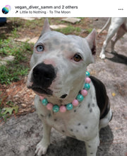 Load image into Gallery viewer, Cotton Candy Shine Bead Collar - SALE