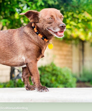 Load image into Gallery viewer, MINI Jack O&#39; Lantern [Small Dog/Cat Bead Collar]