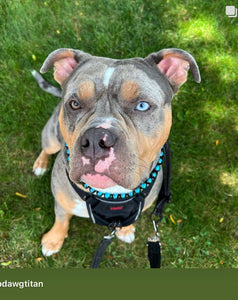 Blue Spark Bead Collar