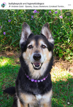 Load image into Gallery viewer, Purple Glitter Skull Bead Collar