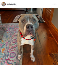 Load image into Gallery viewer, ♥️ Red &amp; Black Sweetheart ♥️ Bead Collar