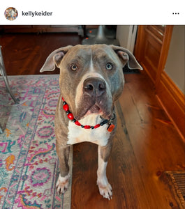 ♥️ Red & Black Sweetheart ♥️ Bead Collar