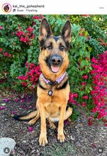 Load image into Gallery viewer, Purple Rain Triplo Acrylic Bead Collar