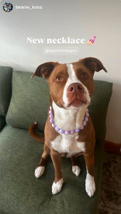 Lavender Hearts Bead Collar