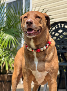 Elm Street Halloween Bead Collar