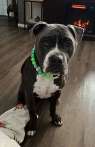 Neon Tropic Glow Acrylic Bead Collar