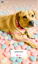 Load image into Gallery viewer, Pink Hearts Glitz Bead Collar