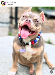 Americana Glam Bead Collar