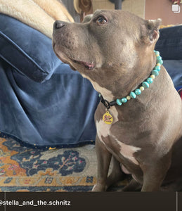 Medium Turquoise Bead Collar