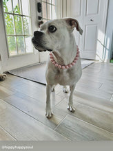 Load image into Gallery viewer, Blush Pink [Scuffed] Acrylic Bead Collar - SALE