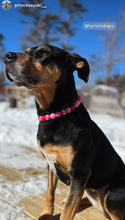 Load image into Gallery viewer, Pink Hearts Glitz Bead Collar