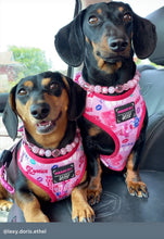 Load image into Gallery viewer, Pink Lights MINI Glam Collar [Small Dog/Cat Bead Collar]
