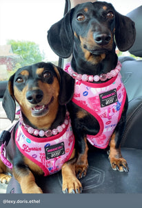 Pink Lights MINI Glam Collar [Small Dog/Cat Bead Collar]