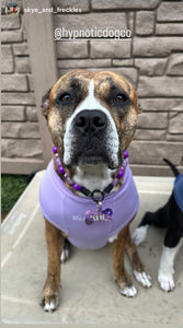 Purple Haze Bead Collar