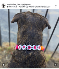 Load image into Gallery viewer, Add-on Only: Daisy Personalized Alphabet Letter Beads (Custom Names)