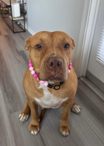 Pink Ombre Acrylic Bead Collar