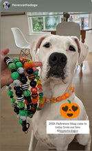 Load image into Gallery viewer, MINI Rainbow Cat's Eye Gemstone Bead Collar
