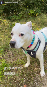 Margarita Splash Bead Collar