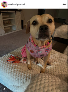 Pink Sugar Bead Collar