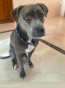 Neptune Blue Bead Collar