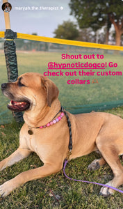 Pink Sugar Bead Collar