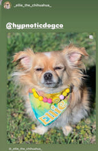 Load image into Gallery viewer, Akira's Pink Lemonade 🩷🍋 MINI [Small Dog/Cat Bead Collar]
