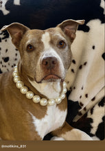 Load image into Gallery viewer, Chunky White Pearls Acrylic Bead Collar