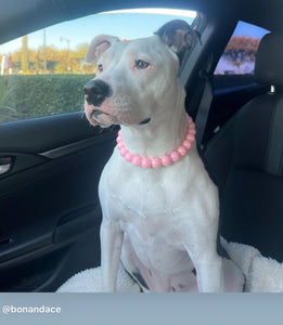 Blush Pink [Scuffed] Acrylic Bead Collar - SALE