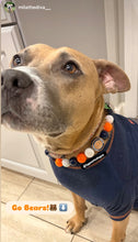 Load image into Gallery viewer, Chicago Bears NFL Inspired 🏈 Bead Collar