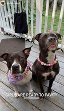 Load image into Gallery viewer, Citrus Berry Glam Bead Collar