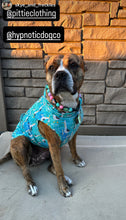 Load image into Gallery viewer, Peace and Love Bead Collar