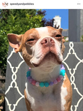 Load image into Gallery viewer, Bubblegum MINI Acrylic [Small Dog/Cat Bead Collar]