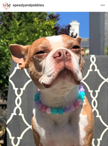 Bubblegum MINI Acrylic [Small Dog/Cat Bead Collar]