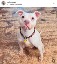 Load image into Gallery viewer, Heartbreaker Bead Collar