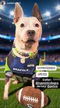 Load image into Gallery viewer, Seattle Seahawks NFL Inspired 🏈 Bead Collar