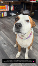 Load image into Gallery viewer, Winter Plum Bead Collar