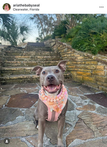 Peach Rain Acrylic Bead Collar