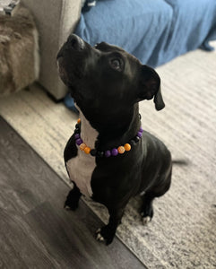 Witching Hour Halloween Bead Collar