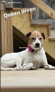 Magenta Rain Triplo Acrylic Bead Collar