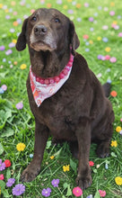Load image into Gallery viewer, Magenta Glitz Bead Collar