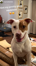 Load image into Gallery viewer, XS White Pearl Single Strand Bead Collar
