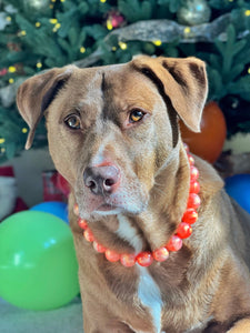 Orange Jupiter Bead Collar