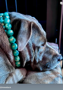 Poseidon Green Bead Collar