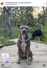 Load image into Gallery viewer, PERSONALIZED Pastel Rainbow Acrylic + Letters Bead Collar