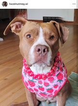 Load image into Gallery viewer, Lunar Red Acrylic Bead Collar [Scuffed]