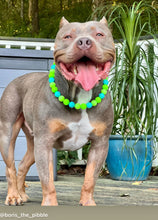 Load image into Gallery viewer, Neon Tropic Glow Acrylic Bead Collar