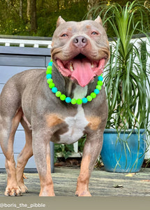 Neon Tropic Glow Acrylic Bead Collar